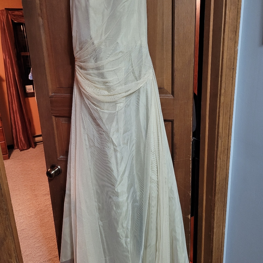Tan strapless dress